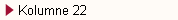 Kolumne 22